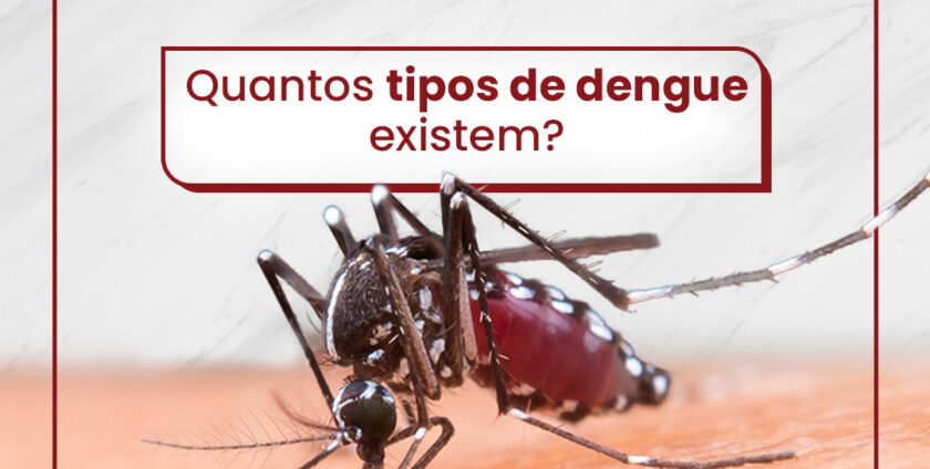 imagem de exibicao