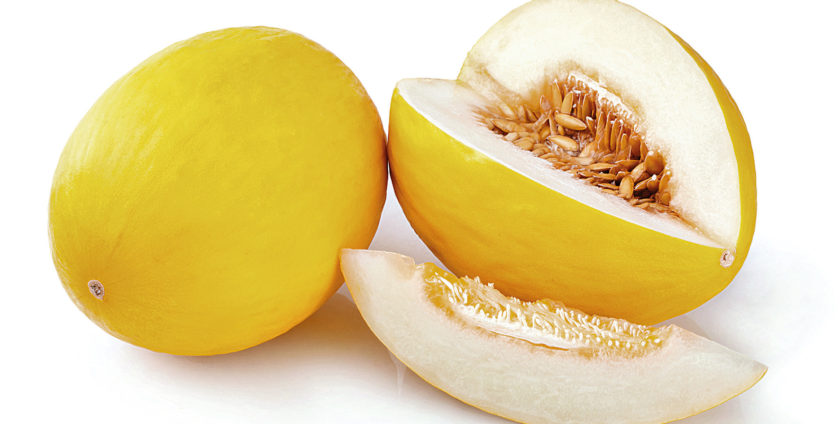 10 Beneficios Do Melao Para A Saude Laboratorio Bioanalise